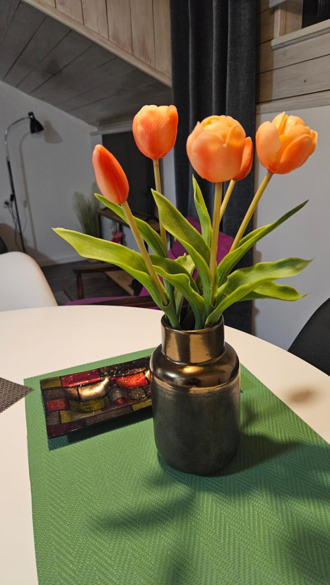 Studio Apartman Gradna Samobor Ngoại thất bức ảnh